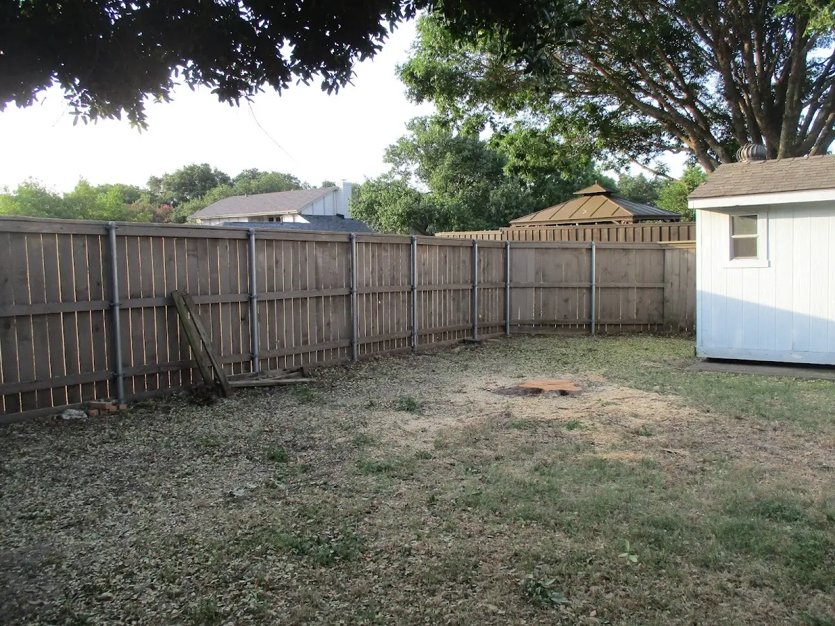 Cleared yard after professional tree removal in Crescent Valley